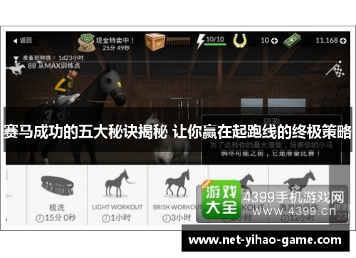 赛马成功的五大秘诀揭秘 让你赢在起跑线的终极策略